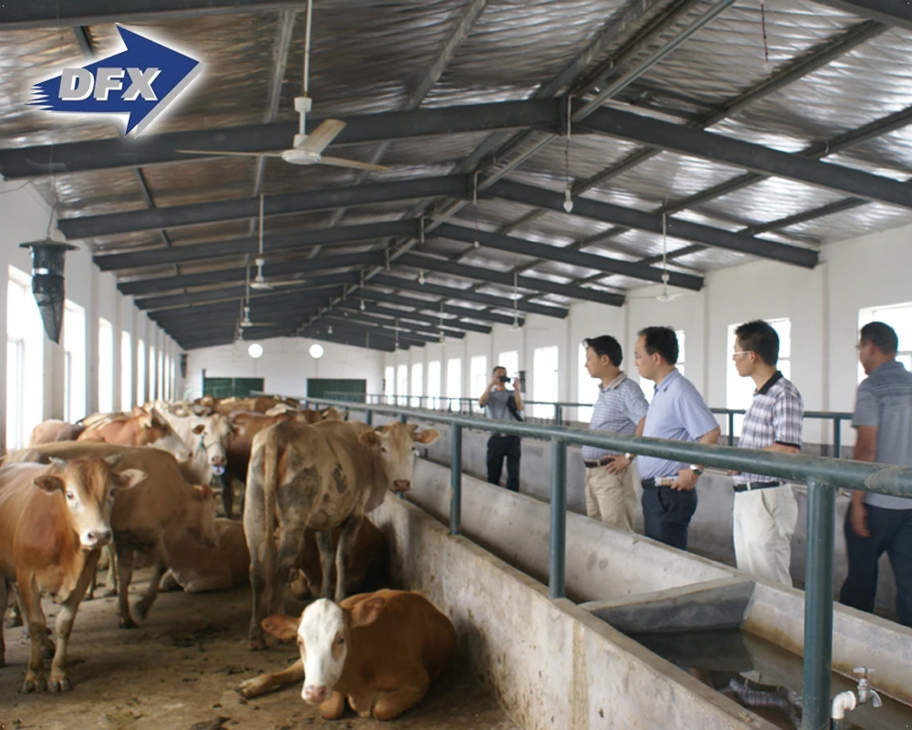 Китай, низкая стоимость, сборная Металлическая стальная конструкция, здание/Сарай/Навес/курица, Овечья ферма на продажу