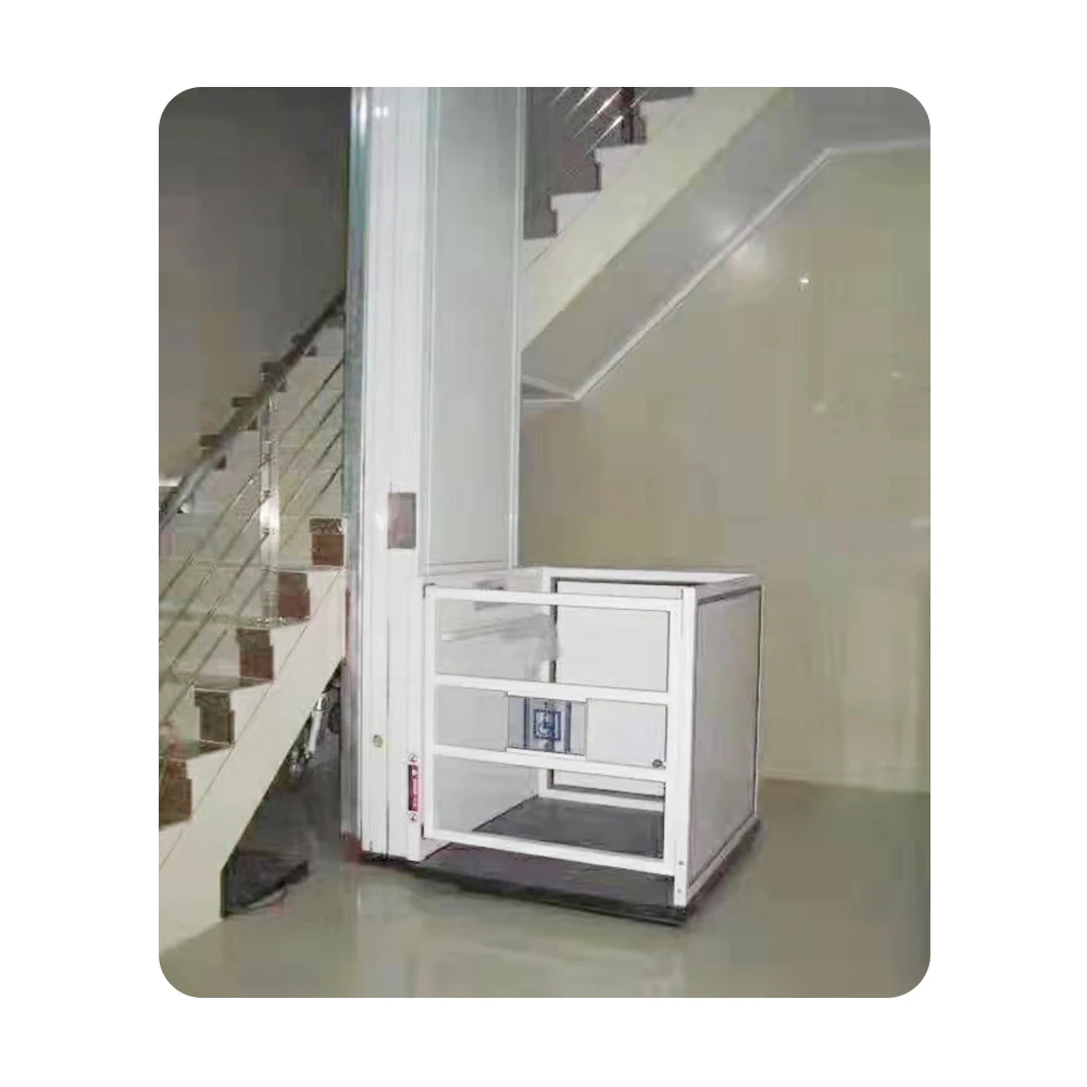 stainless steel and panorama glass decoration home elevator