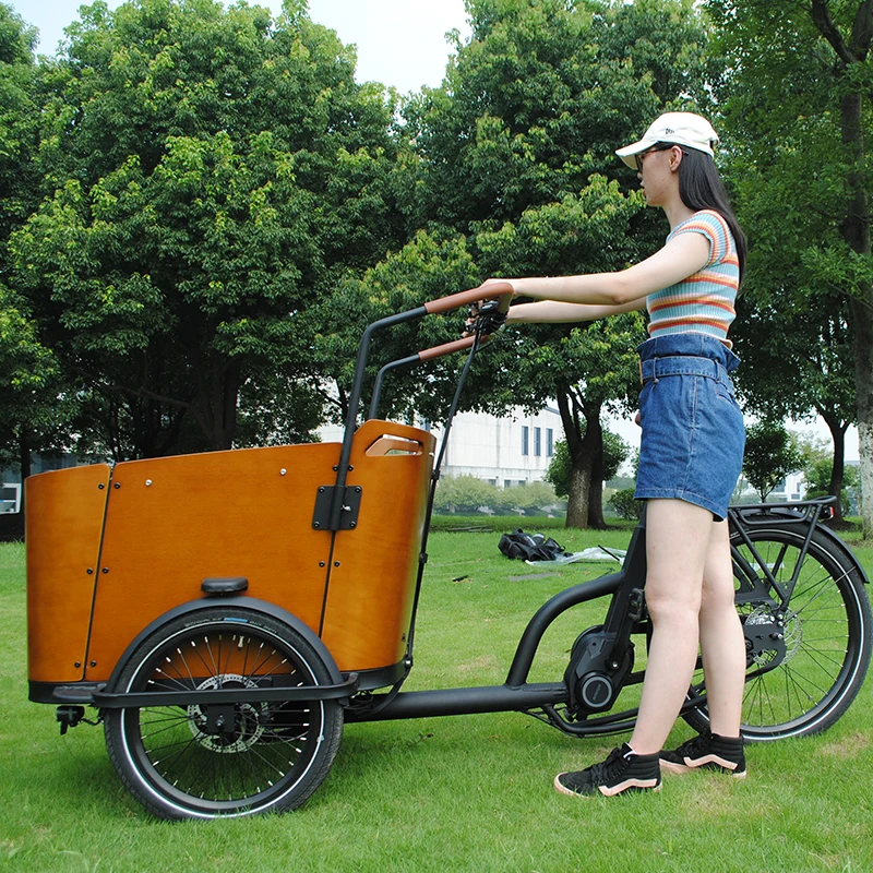 Luxury 48V 250W family electric cargo bike Nexus 7 speeds e bakfiets cargo bicycles bakfiets