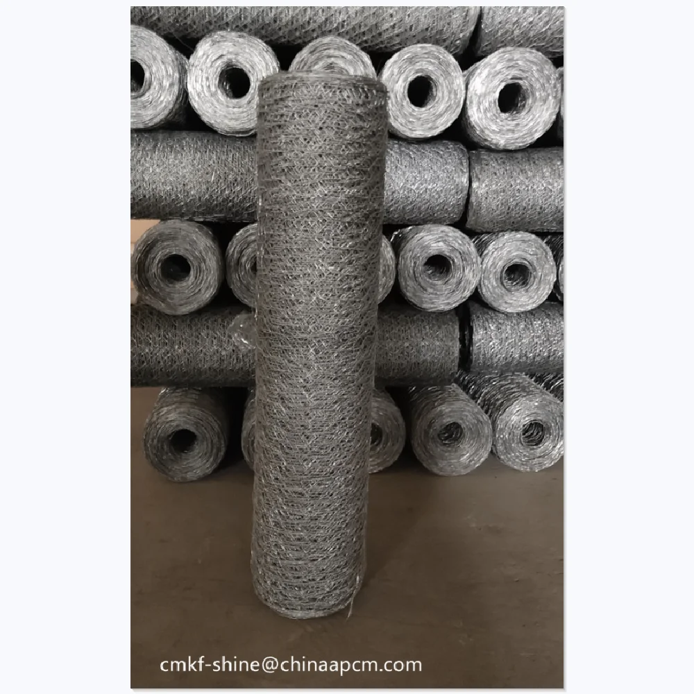 High Tensile Strength Galvanized Hexagonal Wire Mesh for bird cage