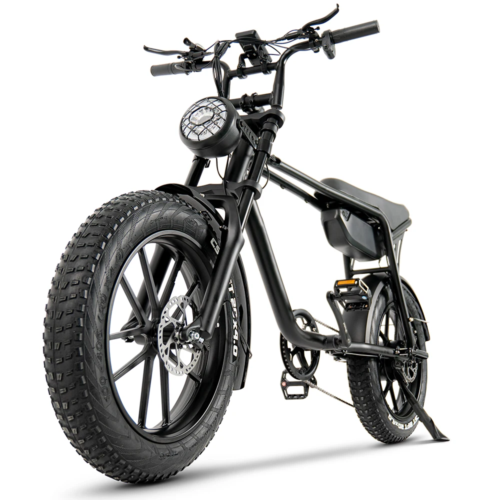 TOODI K20 750/1000W Power Motor Superior Electric Bike Highly Cost Effective Electric Mountain Bike