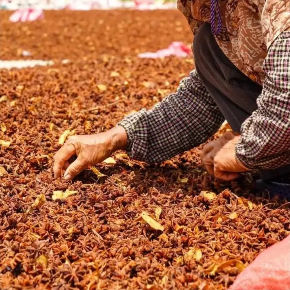 Заводская 100% натуральная Сладкая Пряная Высококачественная Гвоздика из свиной грудинки и аниса гриль для барбекю порошок со вкусом оленины семена