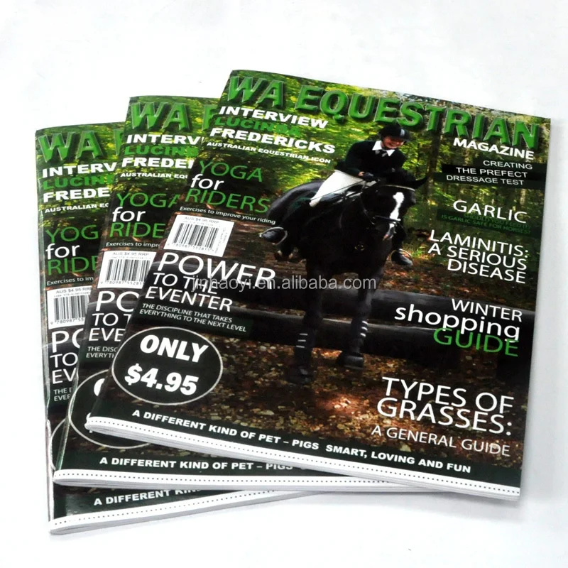 Saddle Stitch Manga Comic Book Printing Offset Print