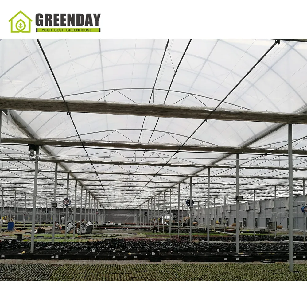 
GREENDAY Automatic Climate Controlled Complete System Polycarbonate Film Commercial Agriculture Greenhouse for Tomato 