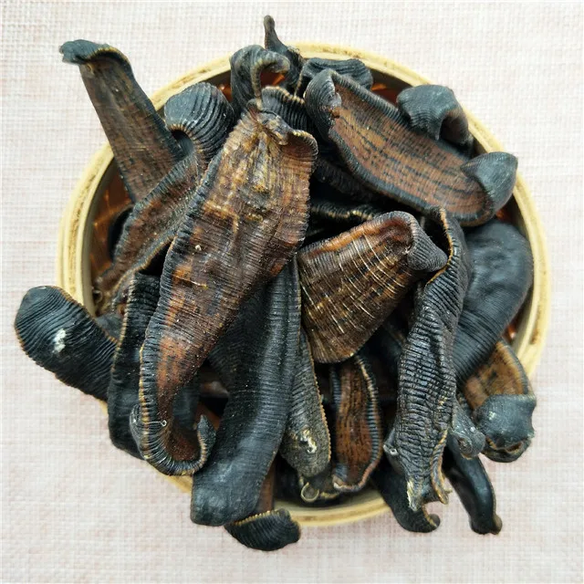 
Shui zhi Best Brand High Quality Dried dry leech 