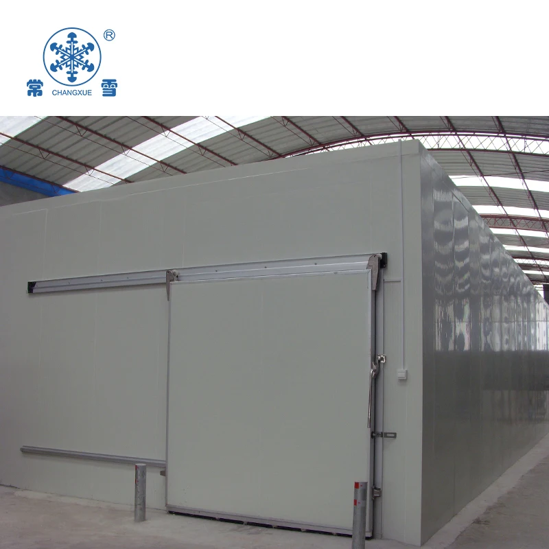 Customized Size Blast Freezer for Sale Frozen Fish, Chicken and Shrimp Storage Cold Room