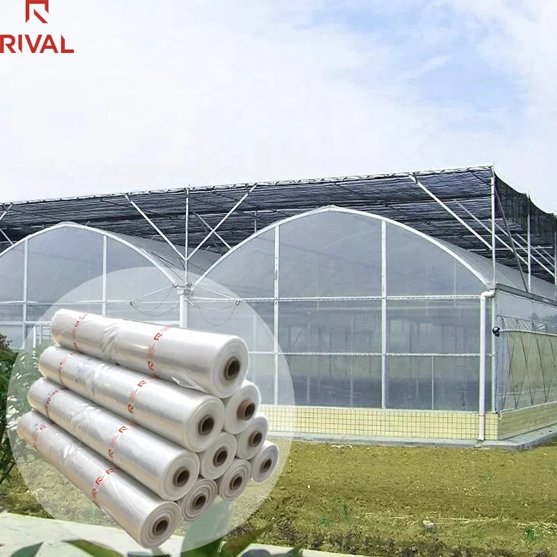 High quality transparent 200 micron plastic greenhouse covering film Green House Plastic Film