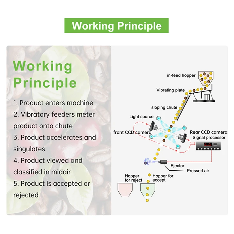 Custom processing equipment Large fast coffee bean sorting machine coffee color sorter coffee color sorter machine