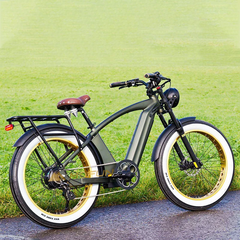 pedal assist 1000w 750w Pedal-assist electric bike Beach cruiser e-bike