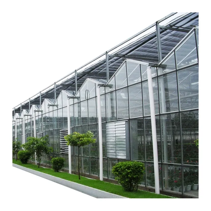 Factory direct supply galvanized steel structur single span agriculture fish glass greenhouses