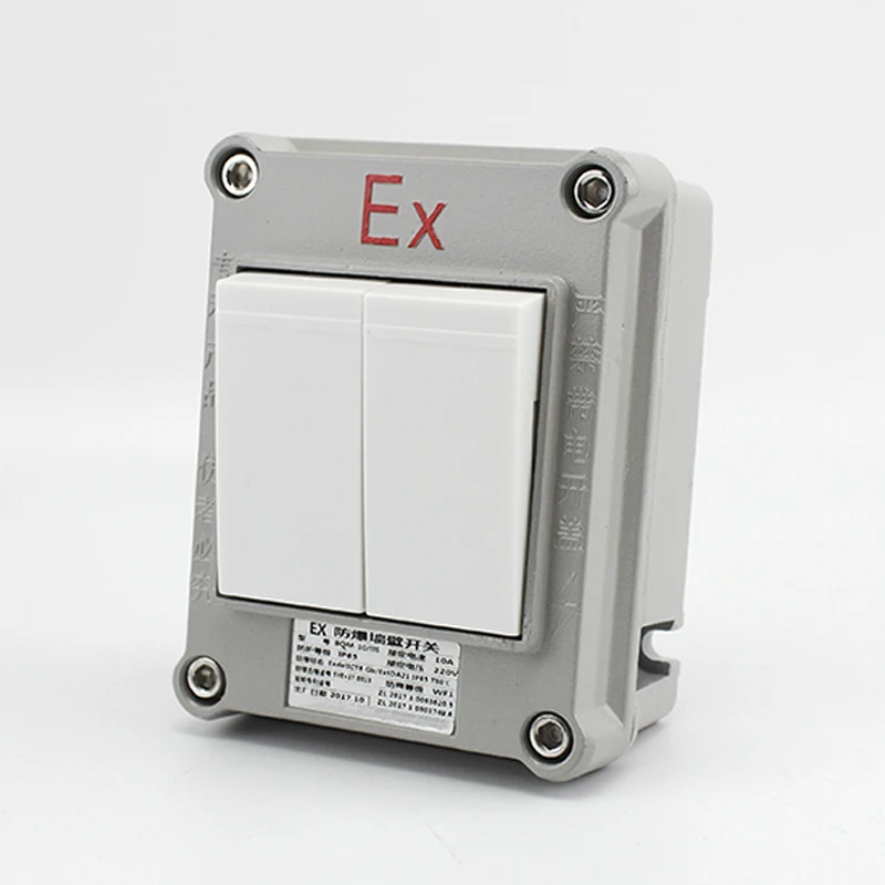 220V 10A One Two Three Switch Aluminum Alloy Box Single-control Double-control Explosion-proof Switch Wall Switch Lighting