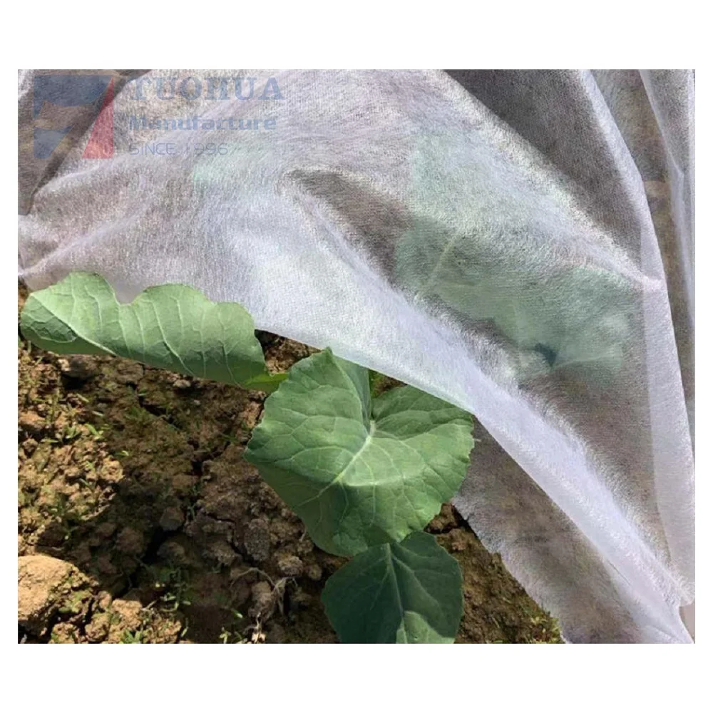Good Price Plant Cover with 100% Polyprpopylene Spunbond Non woven Fabric