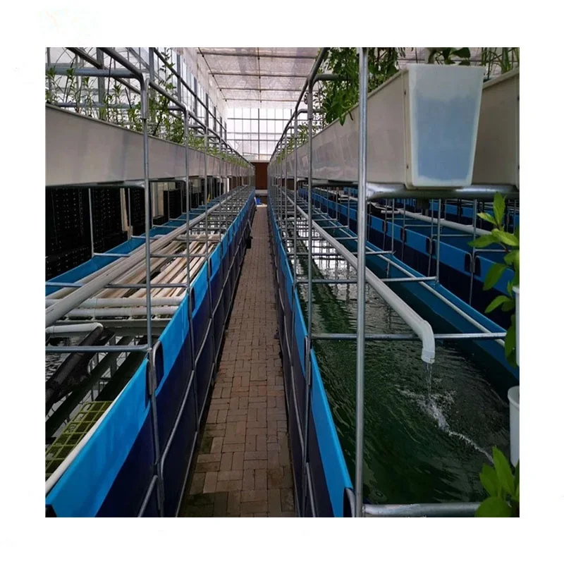 RAS indoor fish shrimp farming equipment Ras indoor recirculating aquaculture system equipment,indoor fish farm for high density