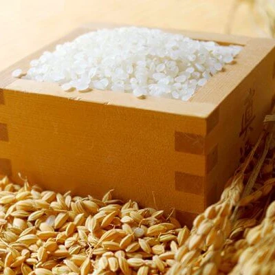 Package Max Soft Bag White OEM Japonica rice Kind Color white Origin  Fresh Grain  Place Vietnamese rice 2023 4.8mm