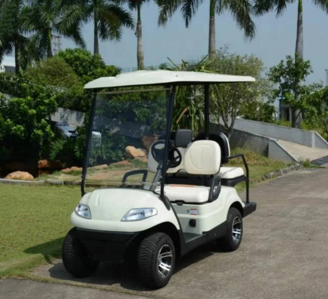 lvtong golf cart with curtis electric car conversion kit