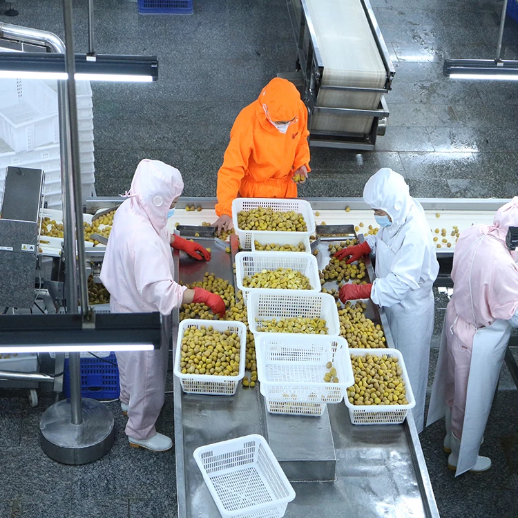 Hot Sale Wholesale Chinese roasted peeld chestnuts chestnut kernel with low price