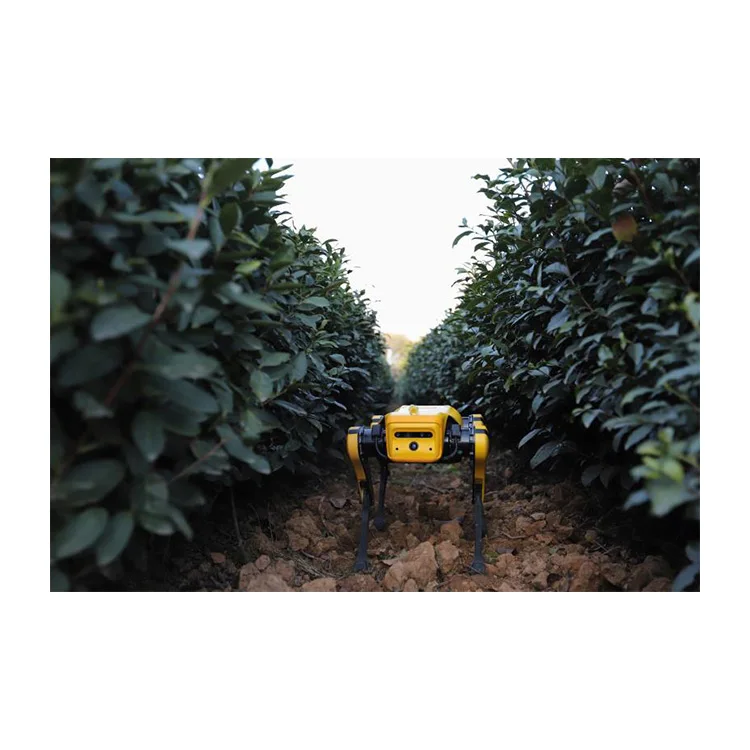 Jueying Mini Lite  Toys  robot dog