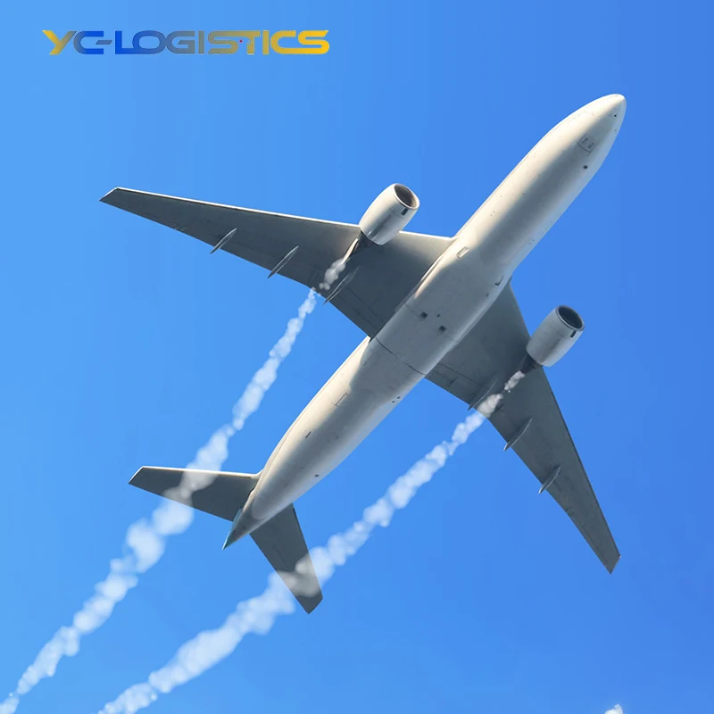 Французский экспресс dhl