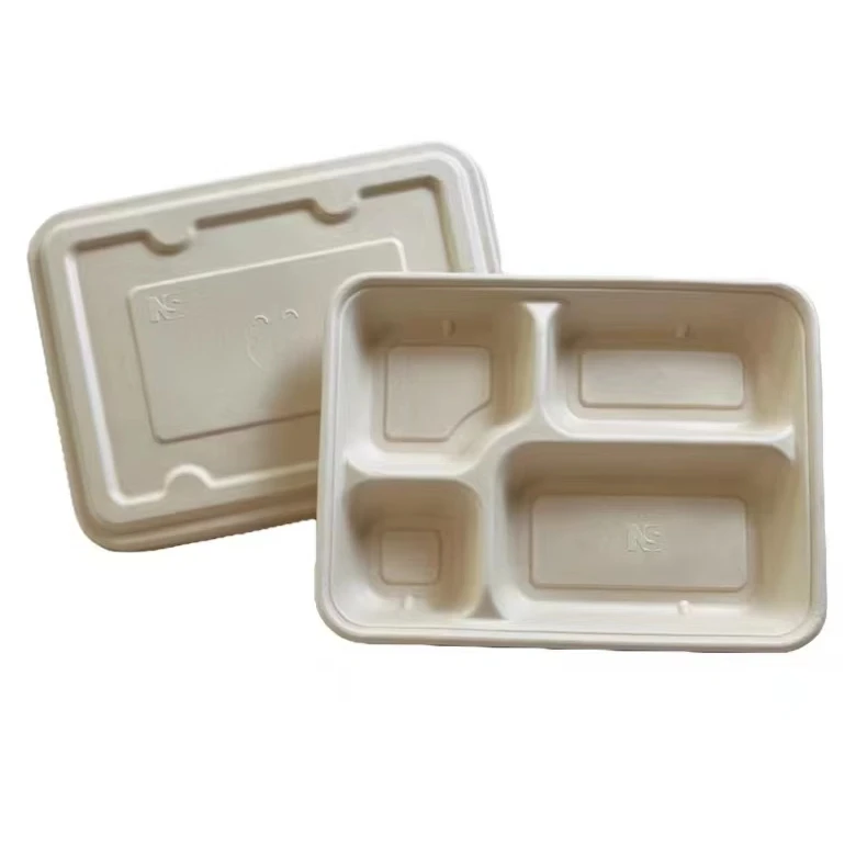 100% biodegradable sugarcane bagasse 4 compartment Bento lunch box disposable food container with lid for School Work Travel