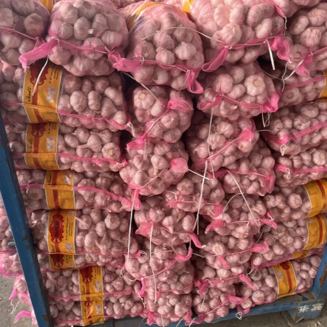 Garlic Price Per Ton Fresh Garlic New Crop Garlic Wholesale From China  6.0cm Export Egypt