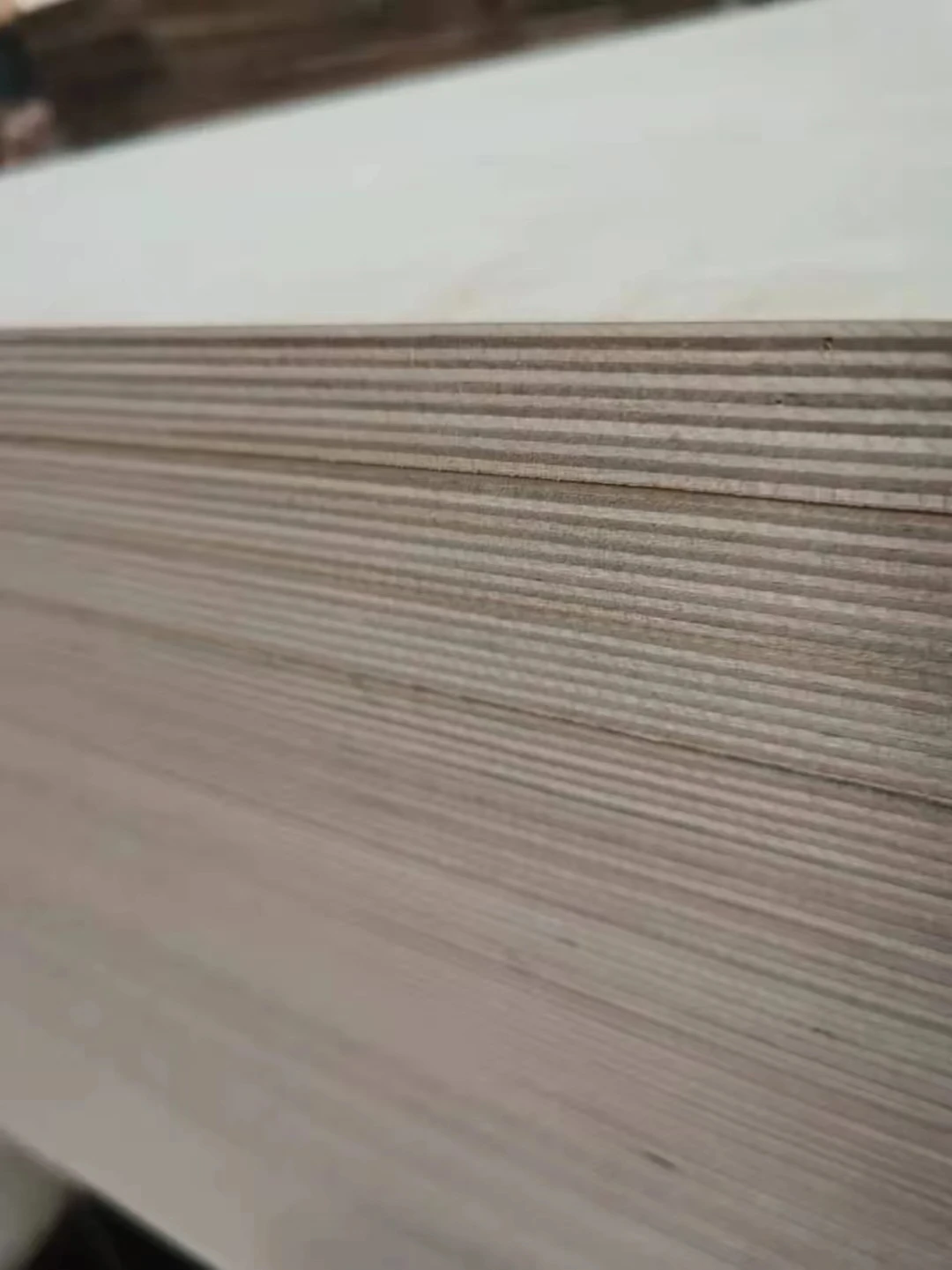 Полная Березовая фанера деревянная 100% сердцевина B/BB CC/CD D/E русская Балтийская