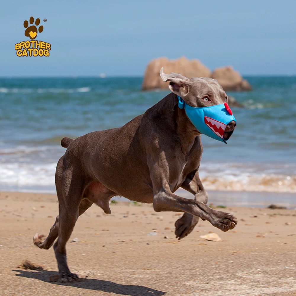 High-end dog muzzle for biting wholesale best
