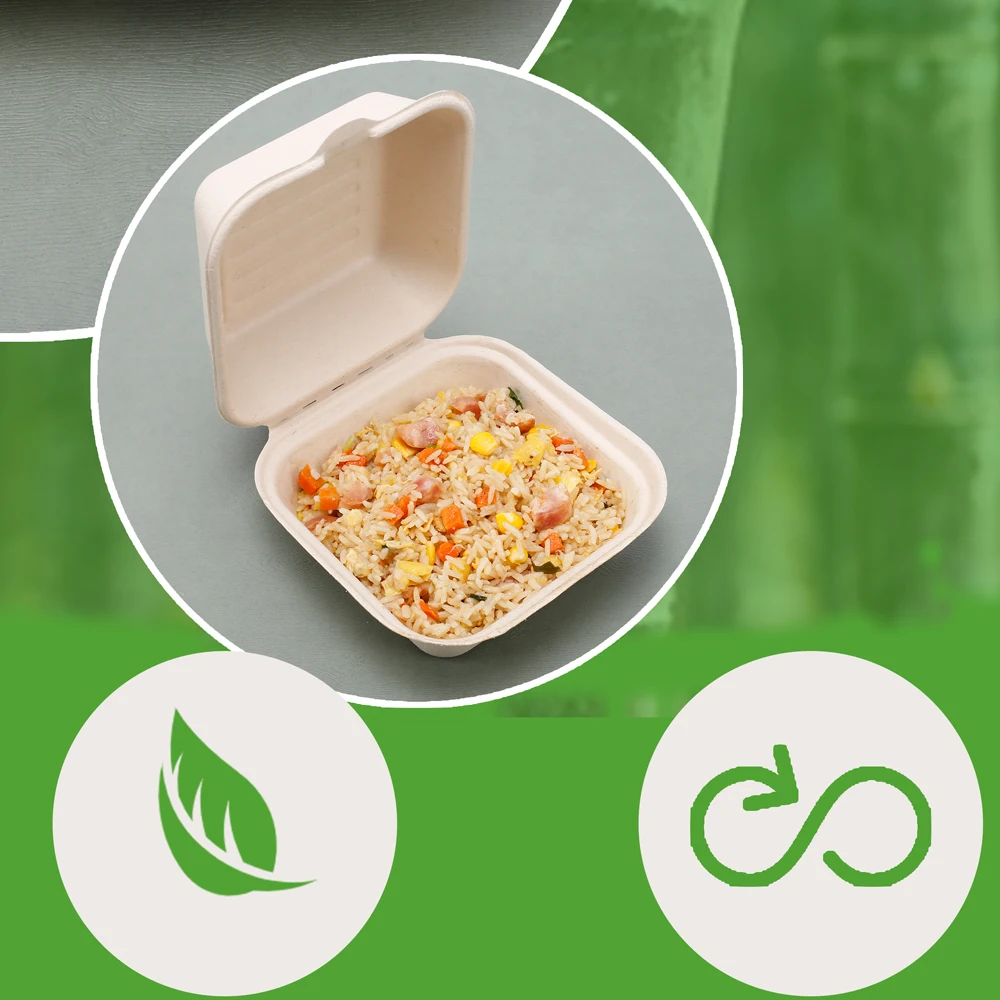 DZ Multi-Station Automatic bagasse Paper Pulp Molding Robot Tableware Thermoforming Machine for food container