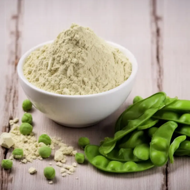 Sports Nutrition Supplements Chocolate Pea Protein Potential Vegetarian Protein Vegan Protein Powder