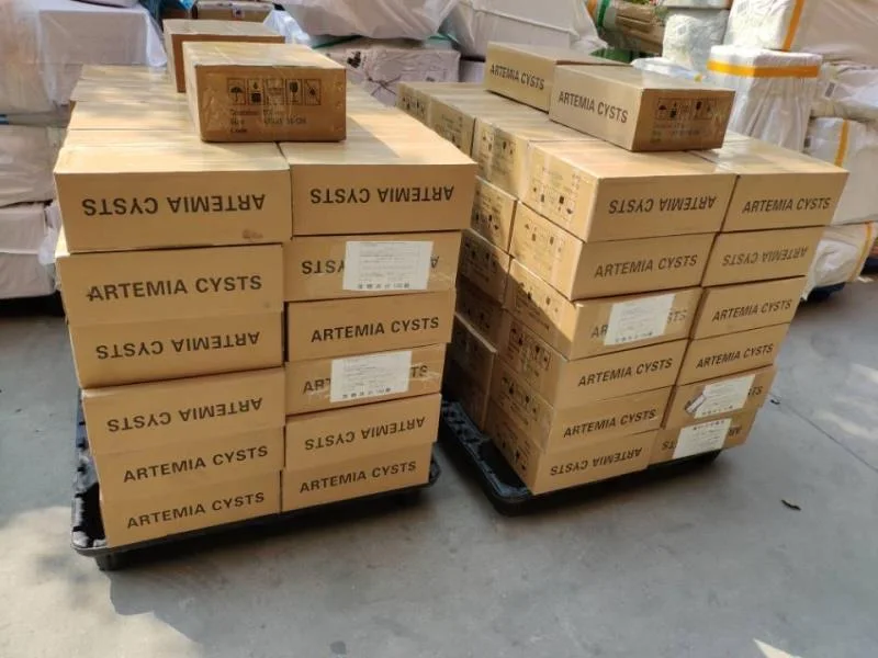 Support customized aquamaster Artemia Cysts eggs with high hatchability