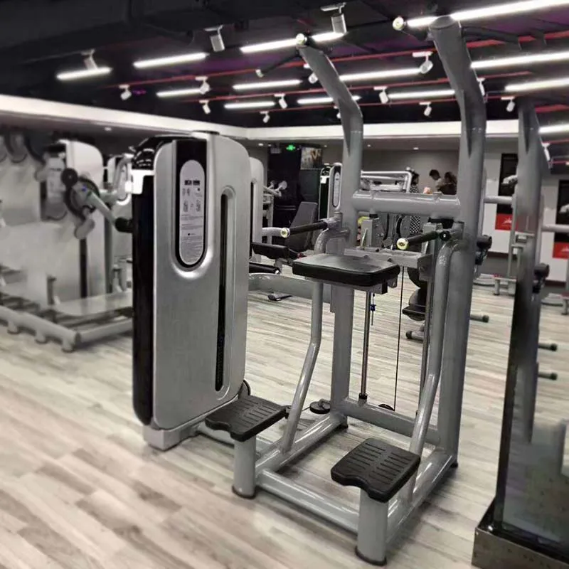 Advanced Type Muscle Pin Loaded Large Commercial Use Machine Iso-Lateral Assisted Dip Chin With Free Painting Color