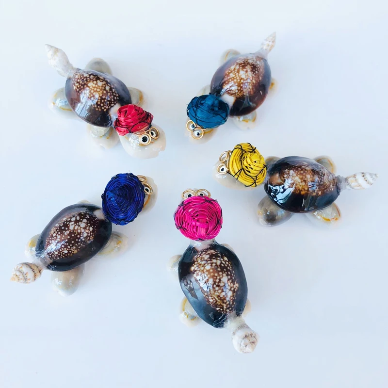 Wholesale Doctor Tortoise Natural Shell&Conch Home Decoration Shell Crafts & Gifts Tourism Souvenirs