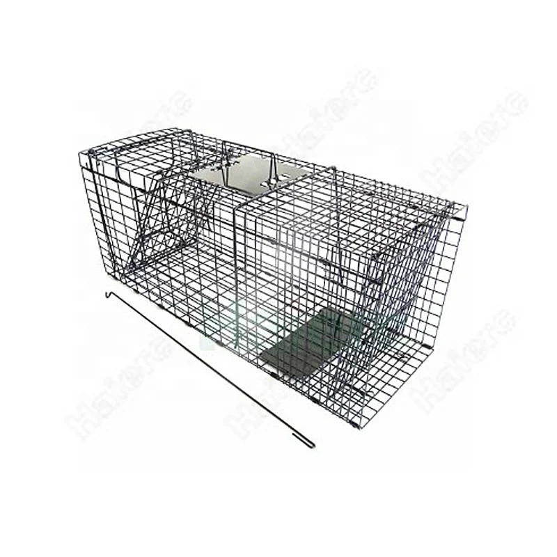 Haierc collapsible human animal trap cage for rat & possum &raccoon & wild cat trap cage