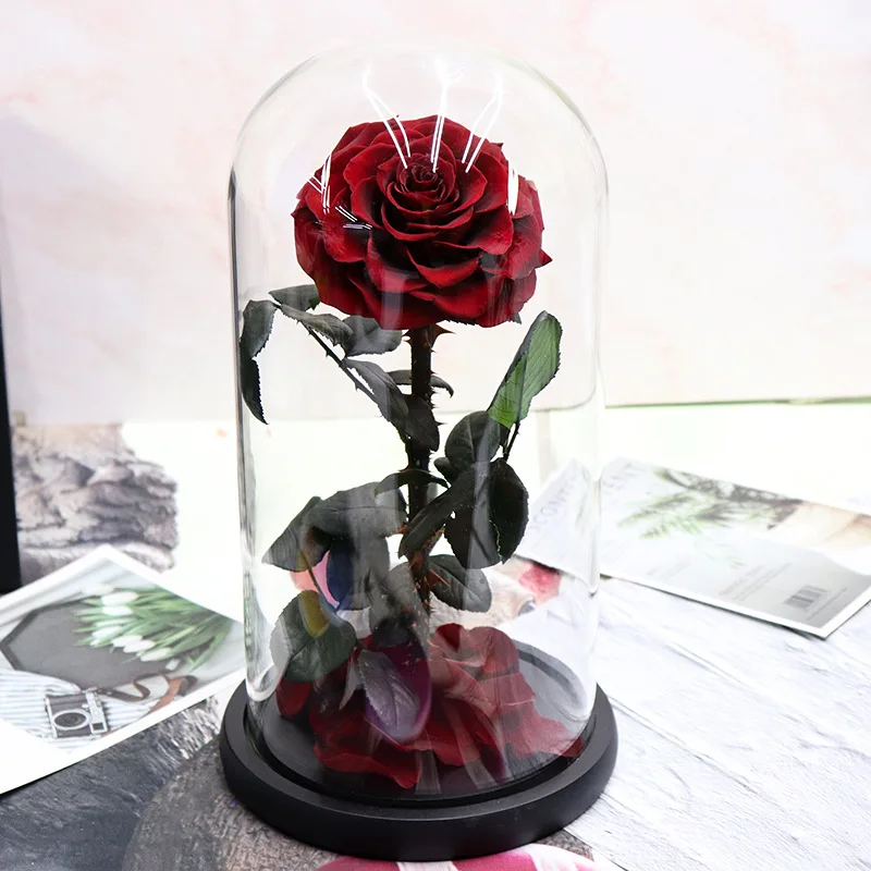 Wholesale Price beauty and the beast roses preserved roses in glass dome