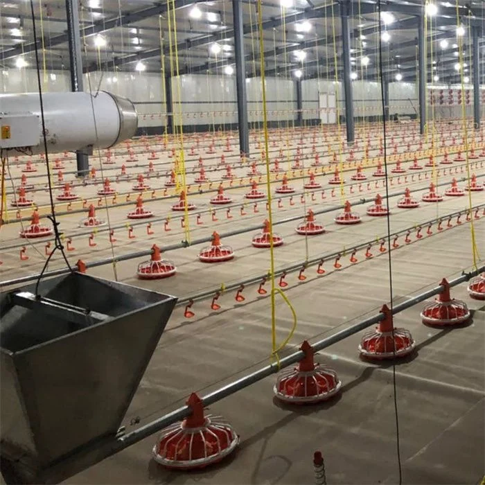 Линия для кормления кур автоматическое высококачественное оборудование птицеводства