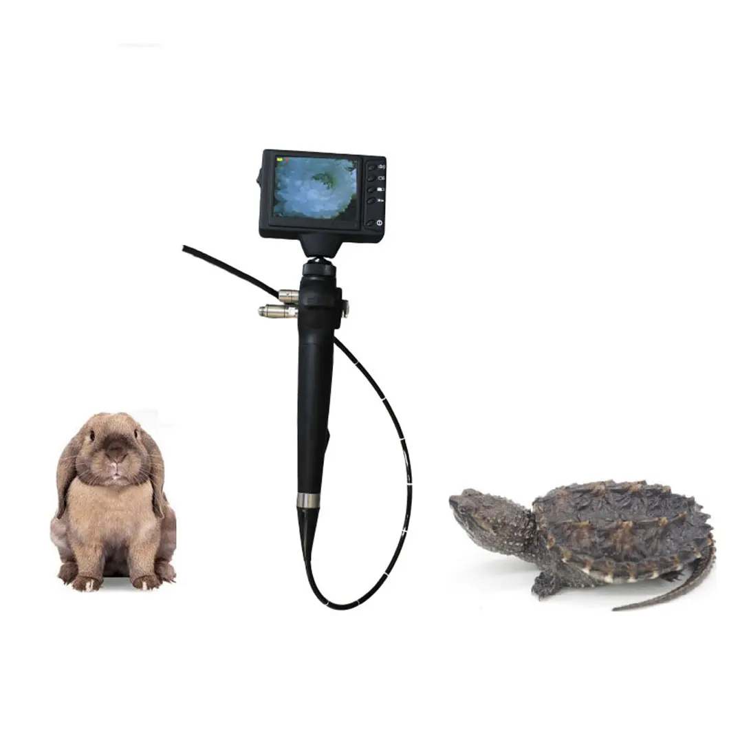 Ветеринарный Портативный видео гибкий ПЭТ-эндоскоп бронхоскоп