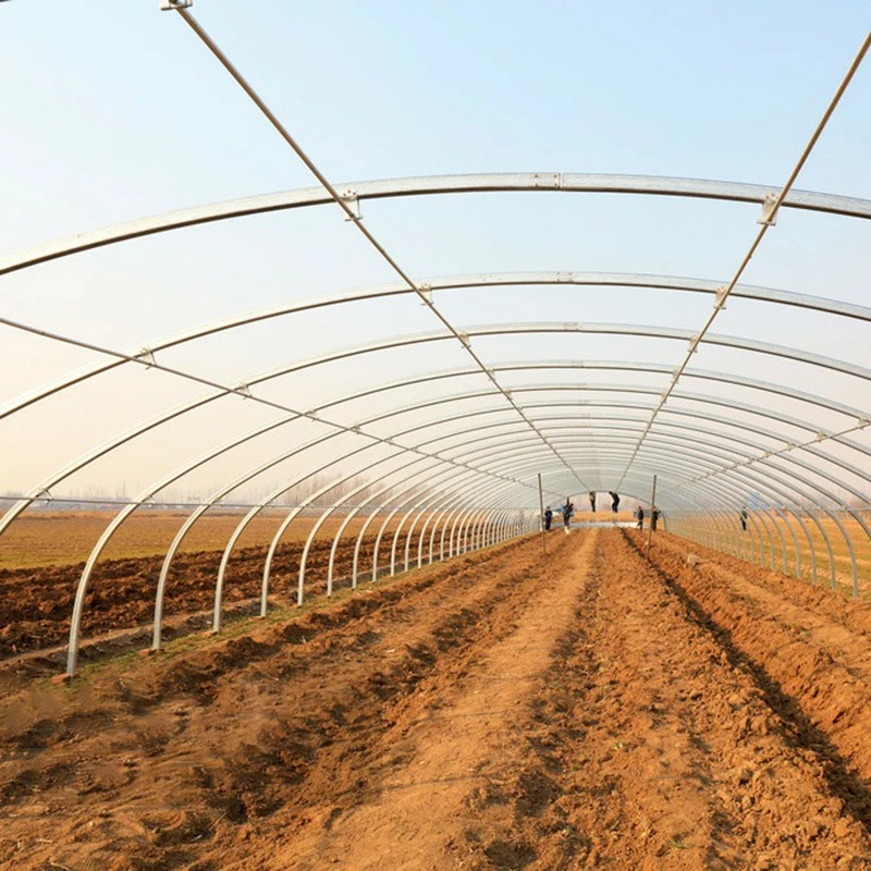Agricultural Plastic Garden Tunnel Greenhouse Systems Steel structure For Sale