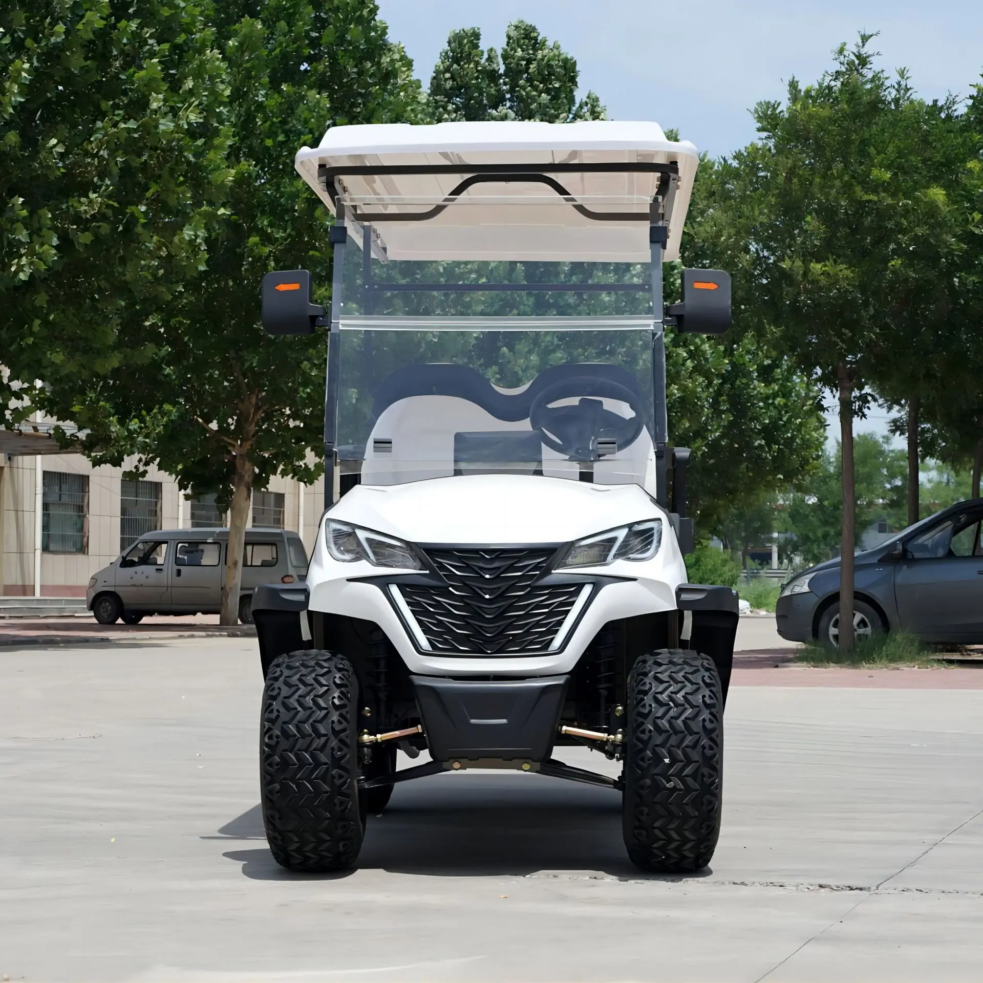 4 Seat 2+2 Electric Golf Cart Customized 48V Prices Electric Golf Car Golf Cart Accessories Rear Seat Kit