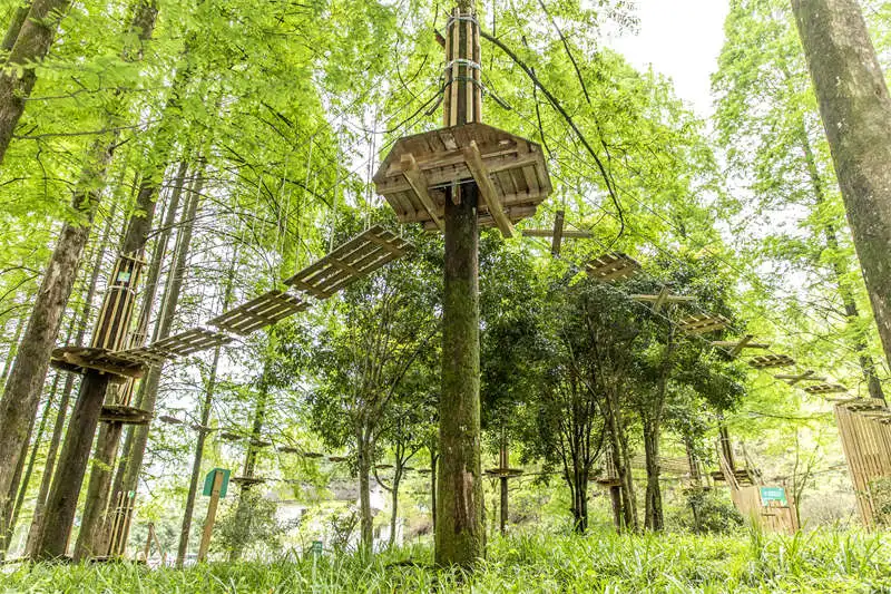 Aerial Forest Adventure Treetop Trekking Rope Course