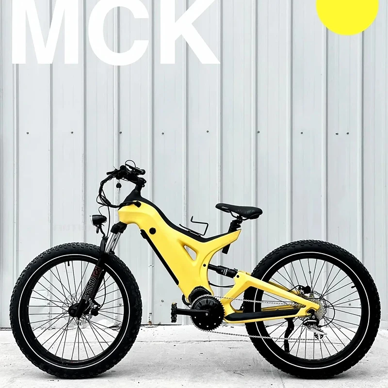 Bafang BBS mid motor Electric Bicycle Mid Engine two battery 8 speed 9 speed Fat Tire Ebike with Bafang mid motor