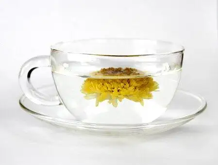 instant chrysanthemum tea powder