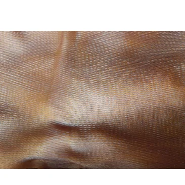 Material natural rubber direct factory and trading with best quality and large quantities ribbed smoked sheet