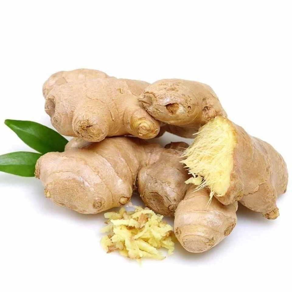 
New Crop Fresh 2020 New Crop Growing Supplier Ginger China Fresh 