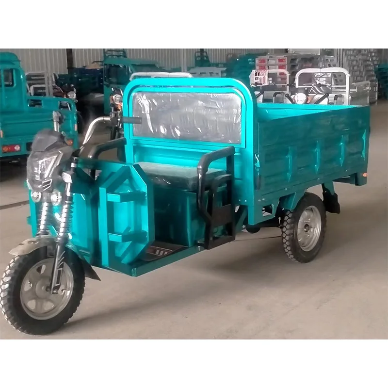 Bicycle Zhiwalk Motor China Van Woman Vehicle Electric-Delivery-Tricycle Electric Tricycles