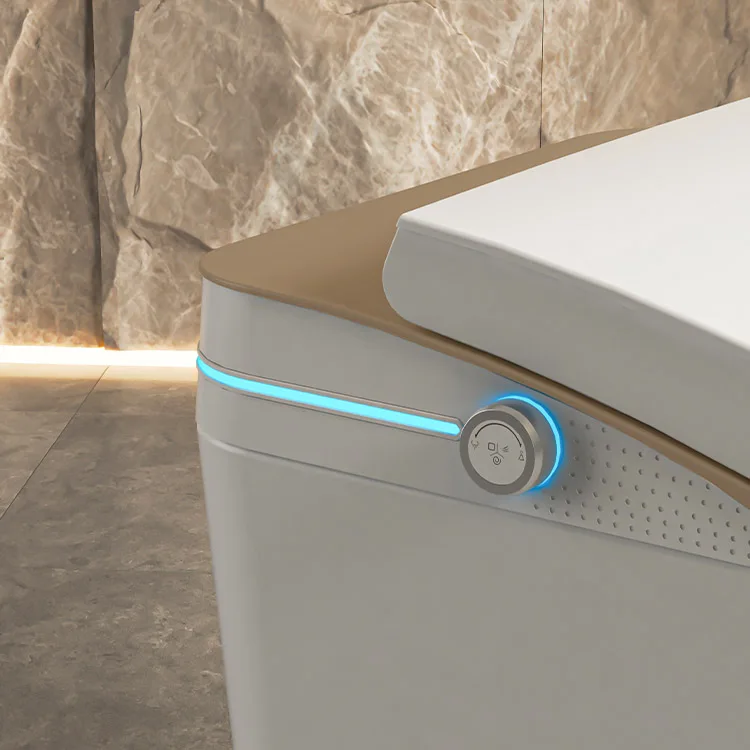 New Model Japanese Black Bidet Smart Toilet Dual Flush Siphon Flush Luxury One Piece Toilet