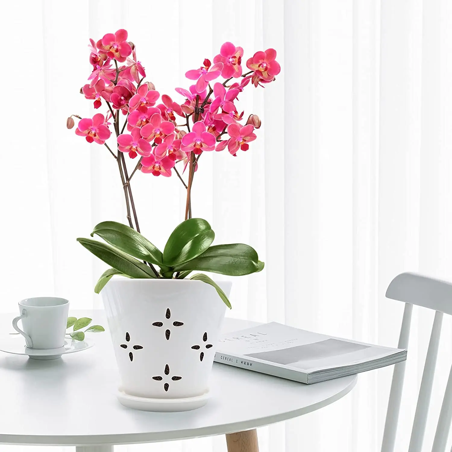 large best ceramic clay orchid planter pot with hole for sale