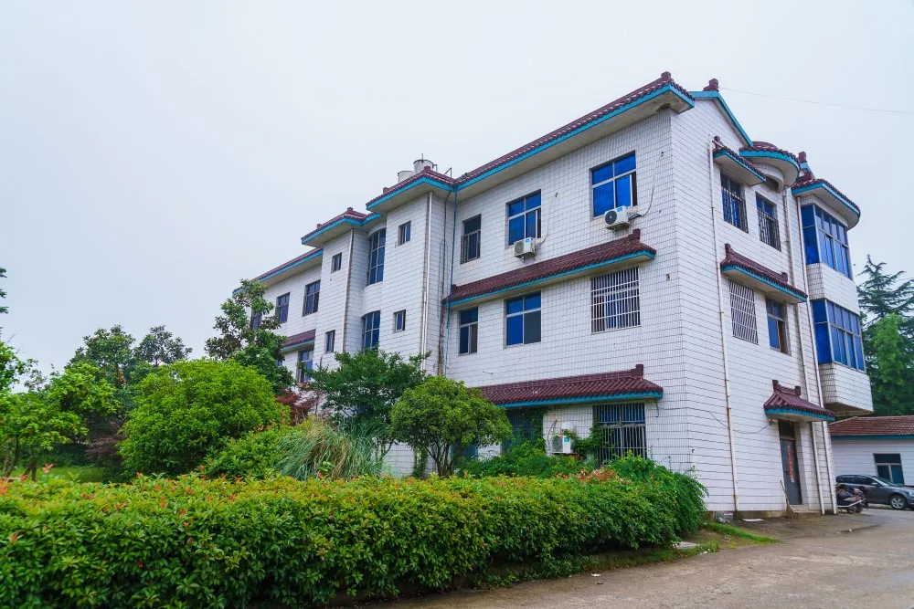 Home Textile material 1/1.8nm 100% Polyester Chenille Yarn