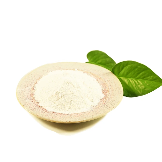 Белый порошок кальцинированные Каолины BRITEX-1000