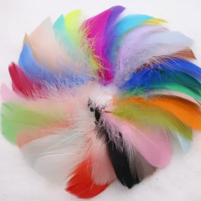 Лидер продаж с фабрики, сумка для карнавала «сделай сам», 100 шт., разноцветное украшение из гусиных перьев (1600114246620)