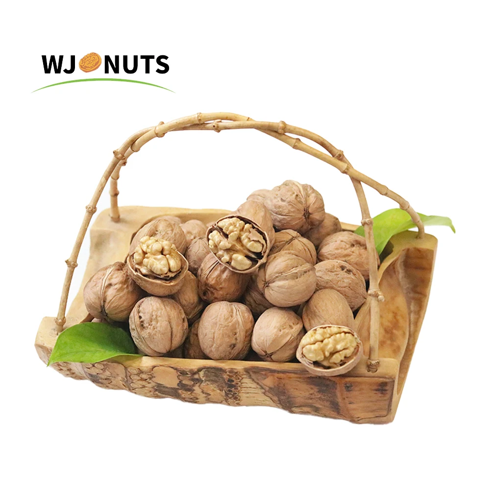 Top Grade Walnuts With Shell Kernel Dried Walnuts