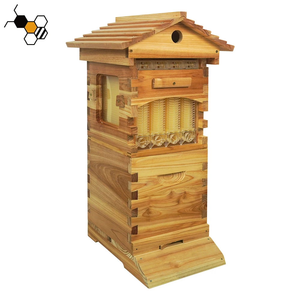 Golden Palace Flows Hive 4pcs Flowing Frames with 4pcs Automatic Flowing Tube and 1pcs Key Food-Grade